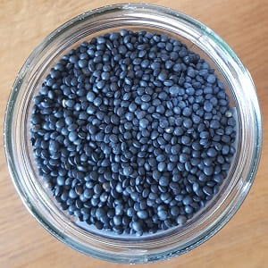 bocal lentilles béluga bio
